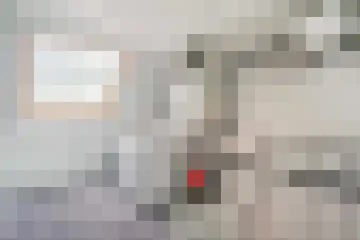 Leenman 7 Wijk bij Duurstede thumbnail 41
