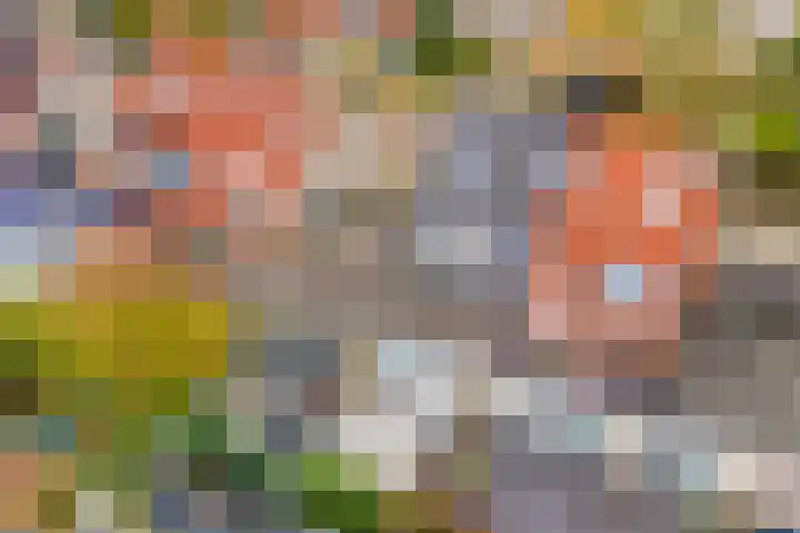 Leenman 7 Wijk bij Duurstede thumbnail 48