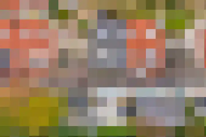 Leenman 7 Wijk bij Duurstede thumbnail 49