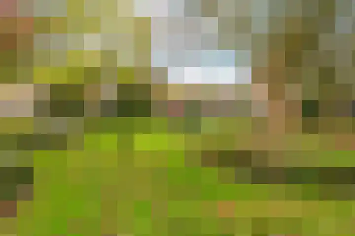 Leenman 7 Wijk bij Duurstede thumbnail 53