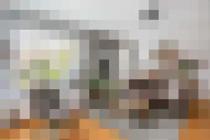 Leenman 7 Wijk bij Duurstede thumbnail 7