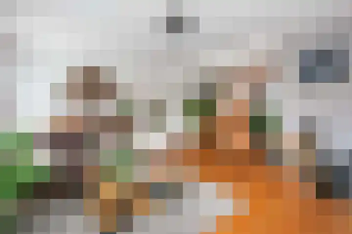Leenman 7 Wijk bij Duurstede thumbnail 8