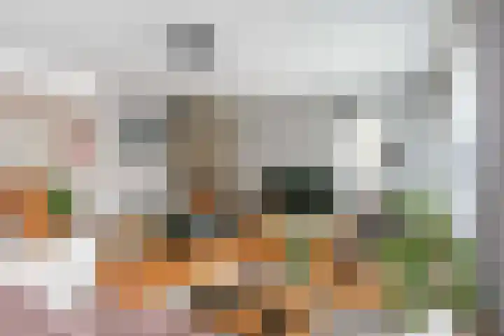 Leenman 7 Wijk bij Duurstede thumbnail 9
