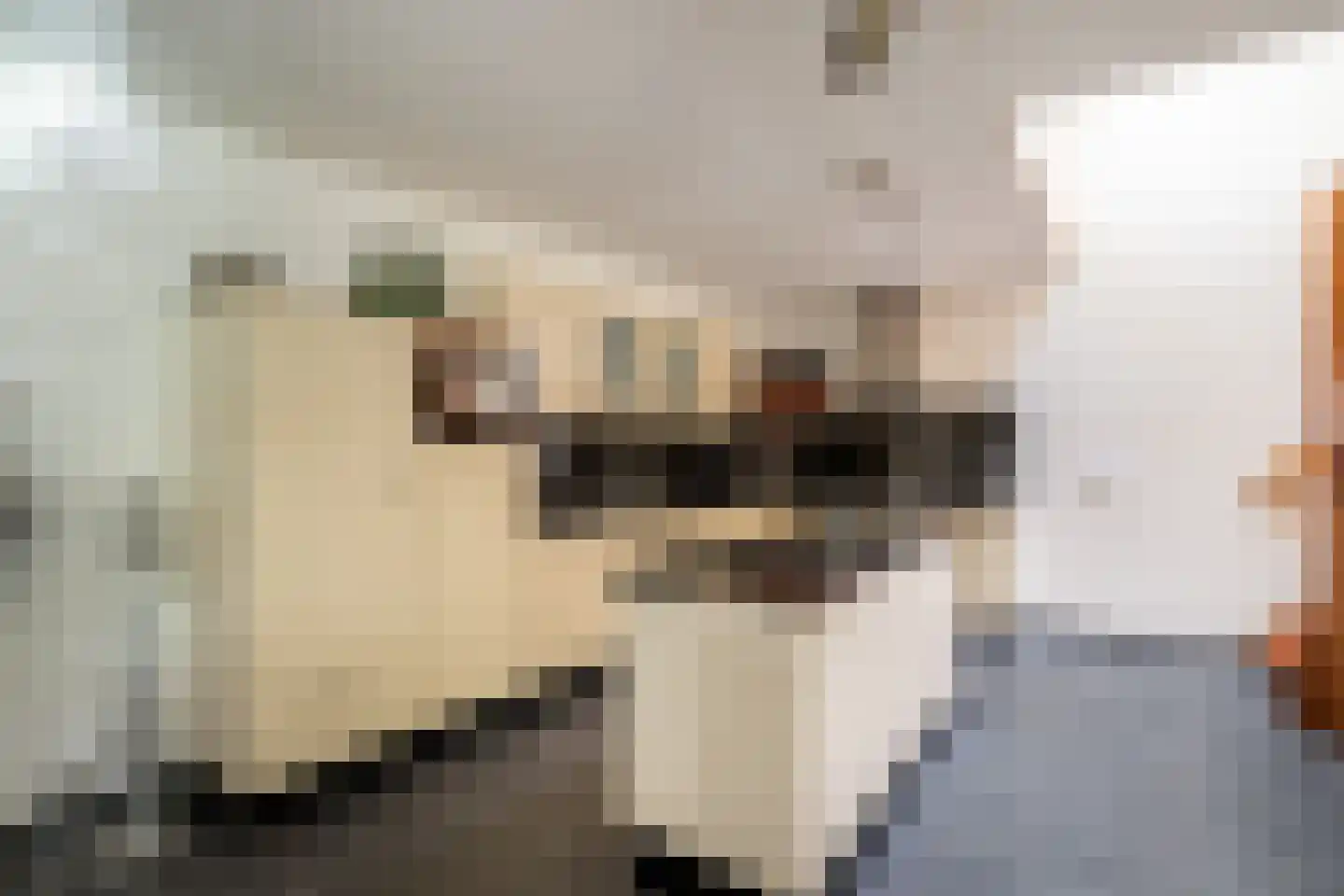 Leenman 8 Maasland thumbnail 13