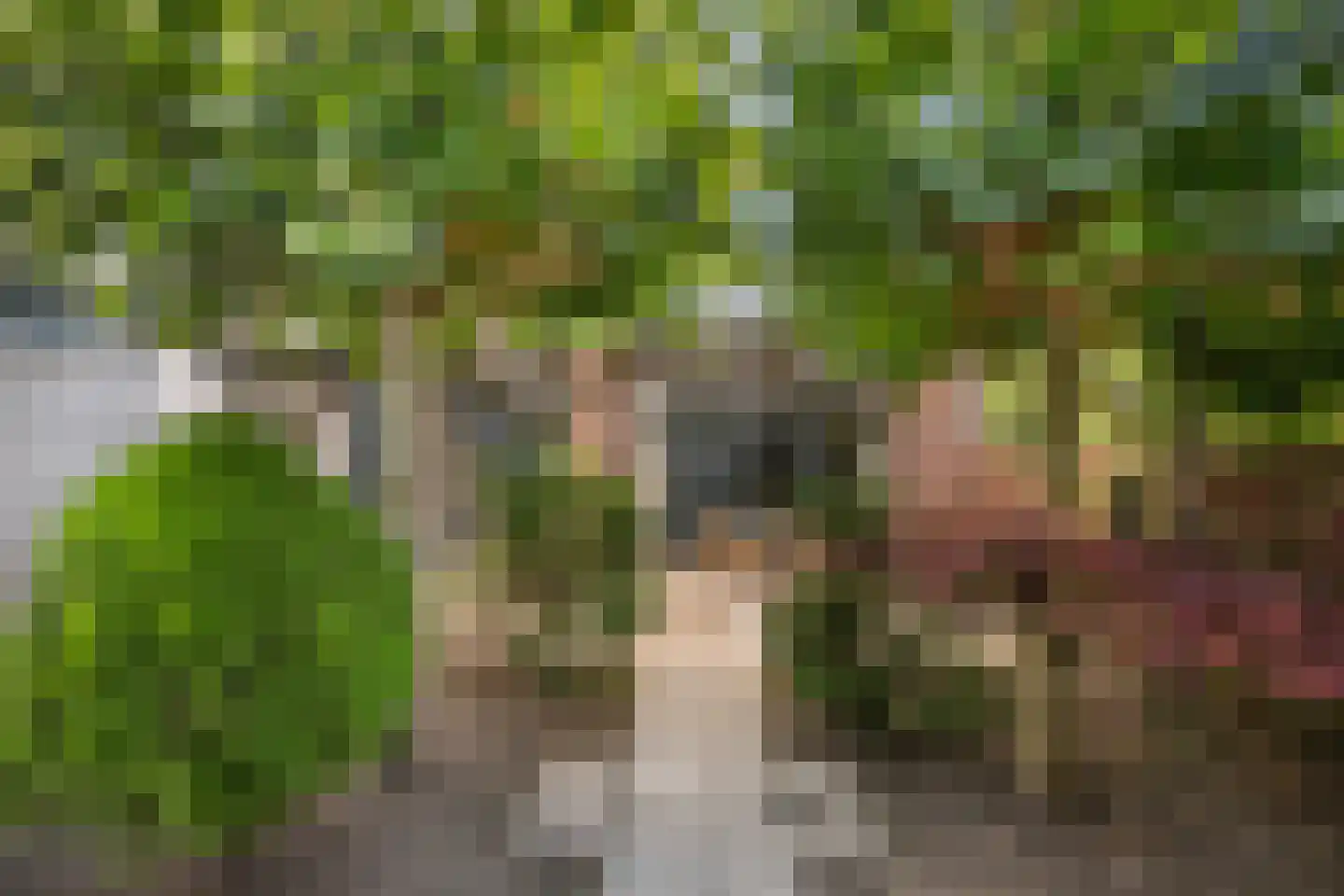 Leenman 8 Maasland thumbnail 22