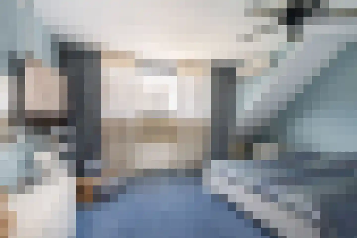 Leenman 8 Maasland thumbnail 25