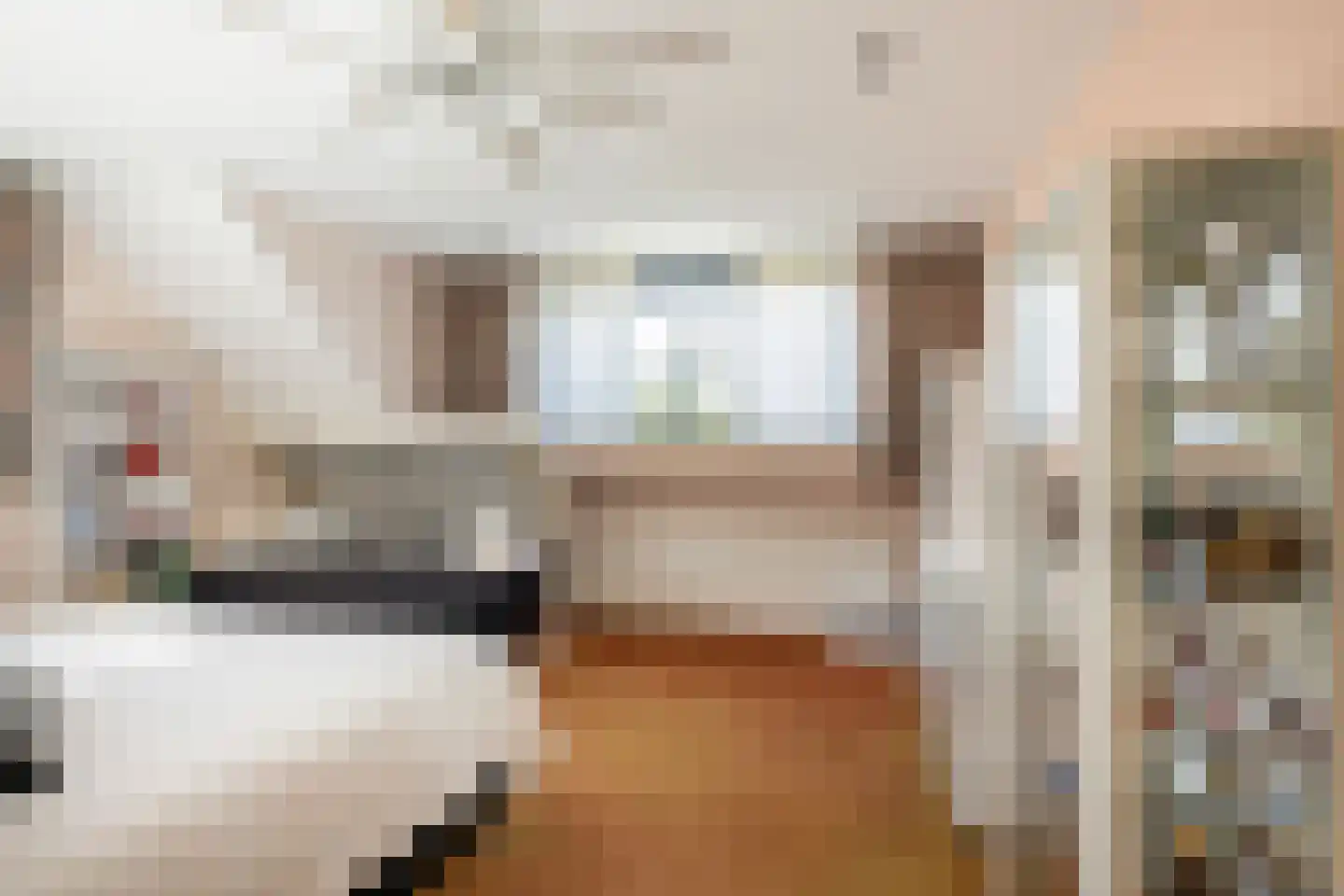 Leenman 8 Maasland thumbnail 29