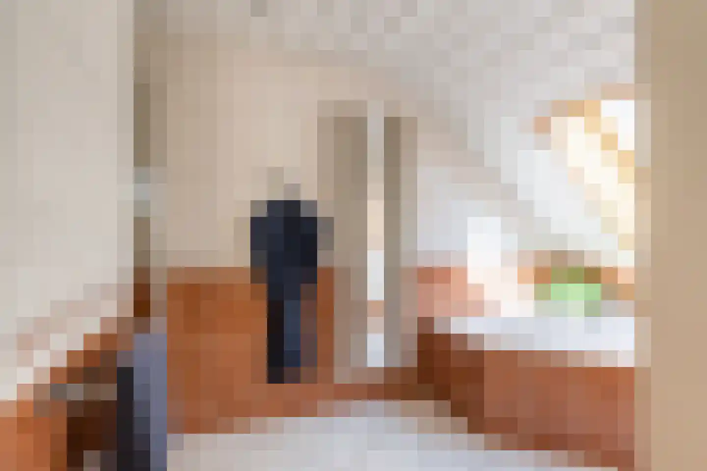 Leenman 8 Maasland thumbnail 33