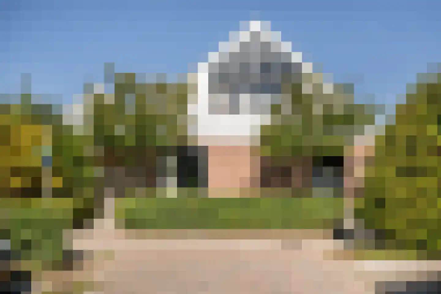 Leenman 8 Maasland thumbnail 37