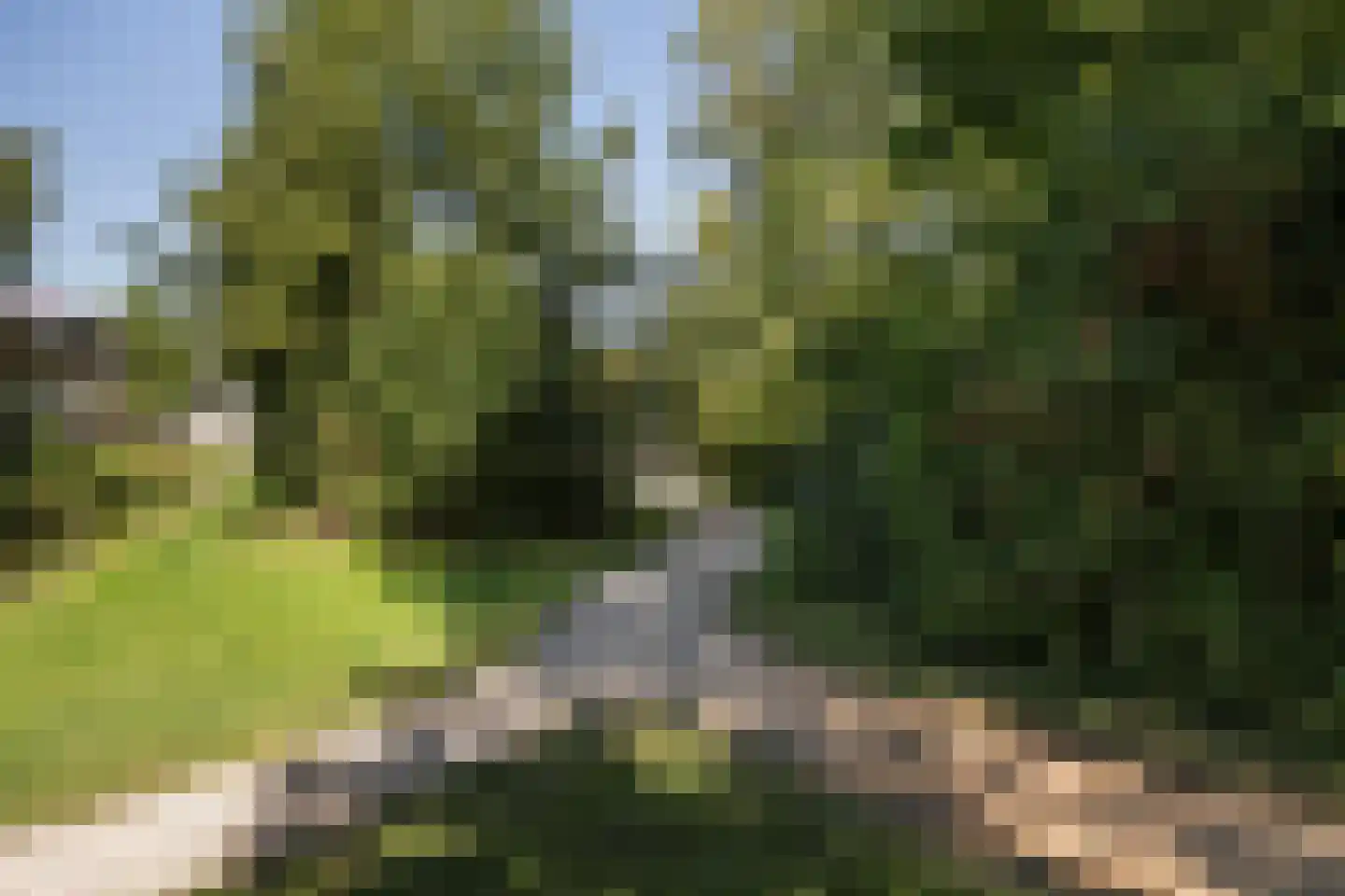Leenman 8 Maasland thumbnail 38