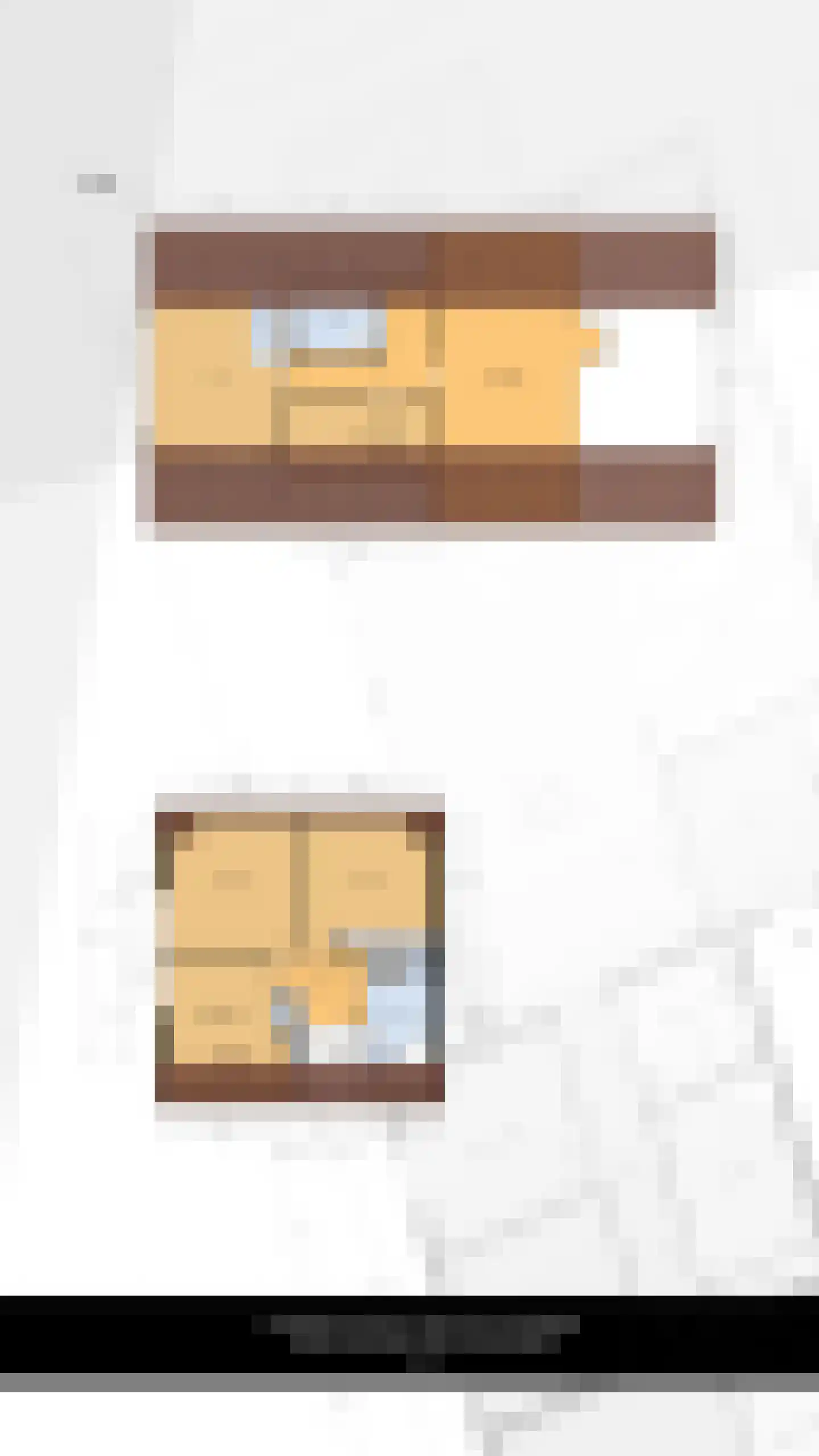 Leenman 8 Maasland thumbnail 43