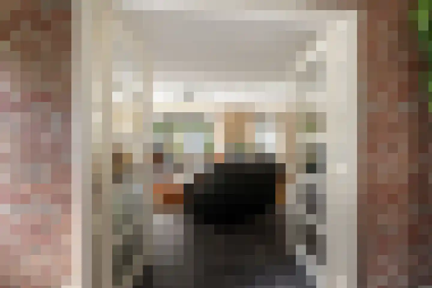 Leenman 8 Maasland thumbnail 5