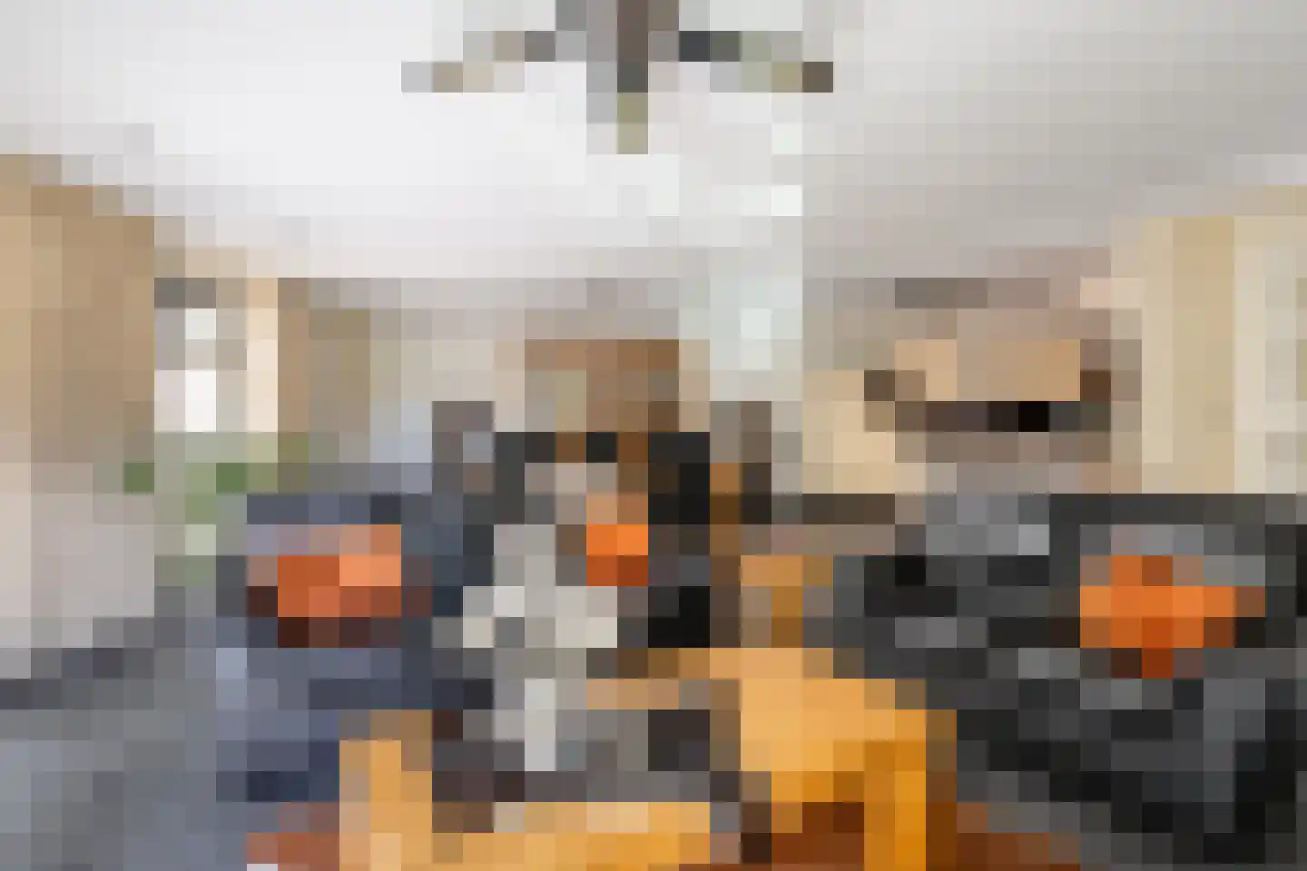 Leenman 8 Maasland thumbnail 7