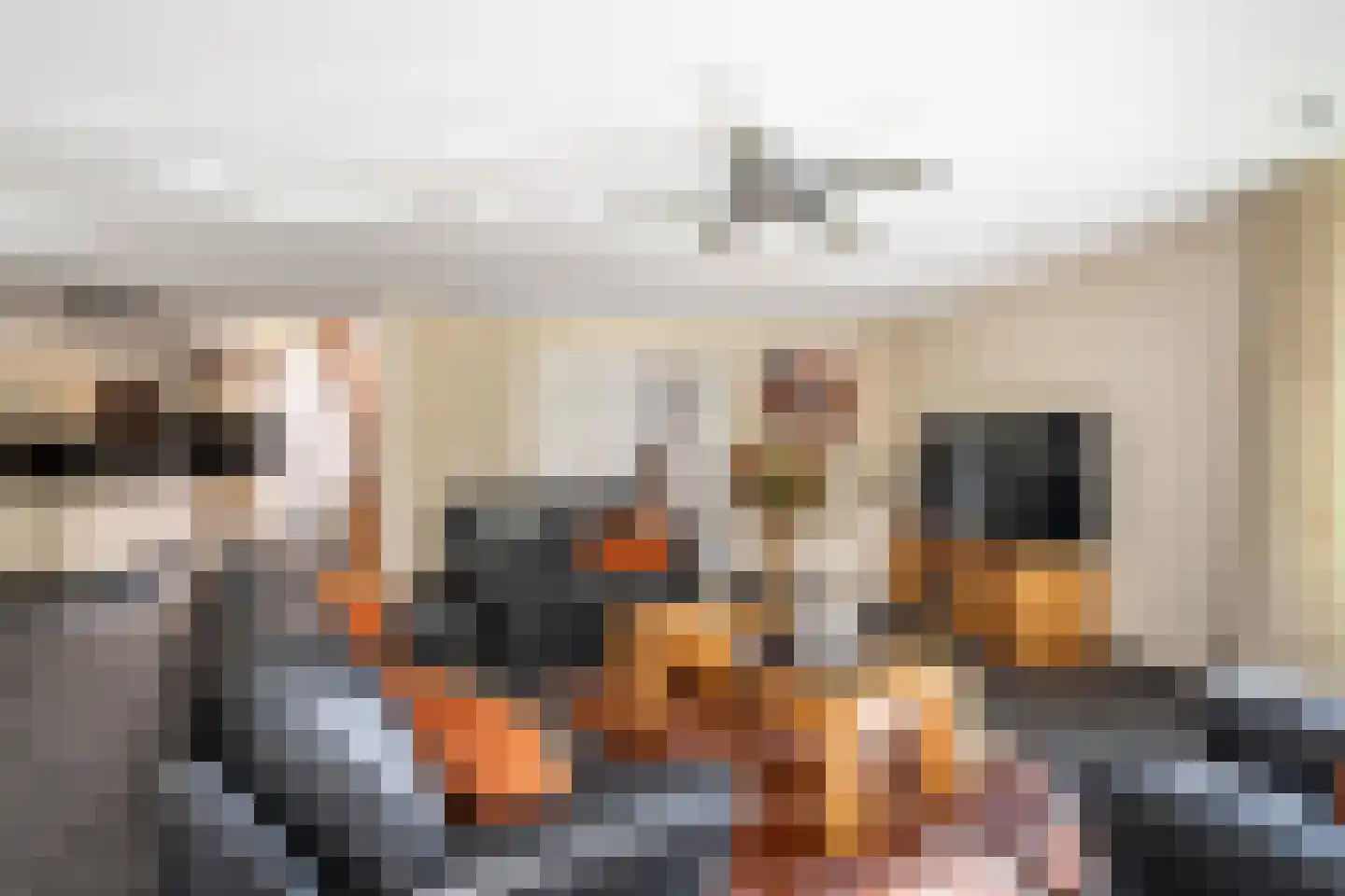 Leenman 8 Maasland thumbnail 8