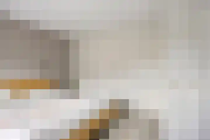 Leenmanslag 19 Gouda thumbnail 21