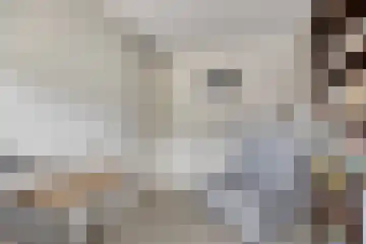 Leenmanslag 19 Gouda thumbnail 25