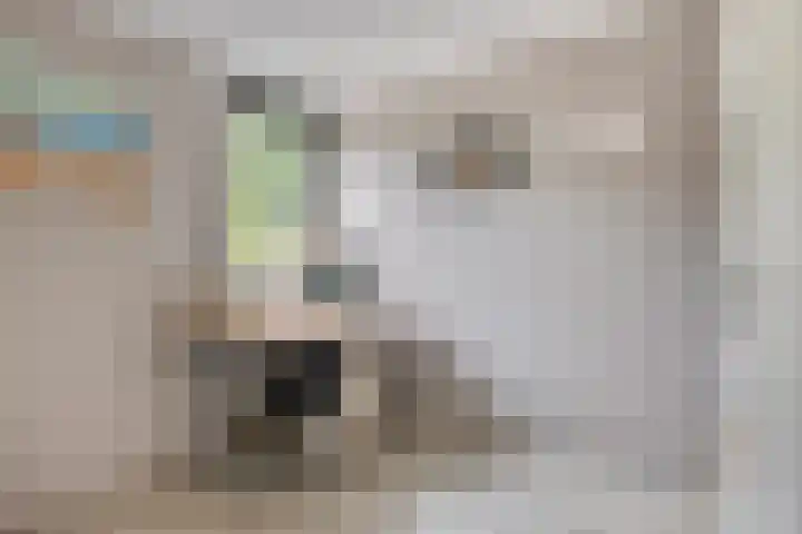 Leenmanslag 19 Gouda thumbnail 26