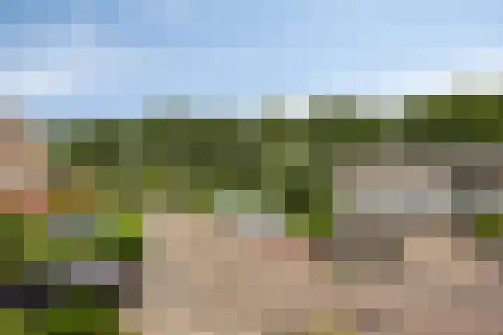 Leenmanslag 19 Gouda thumbnail 30
