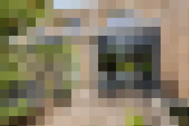 Leenmanslag 19 Gouda thumbnail 31