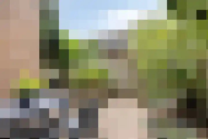 Leenmanslag 19 Gouda thumbnail 32