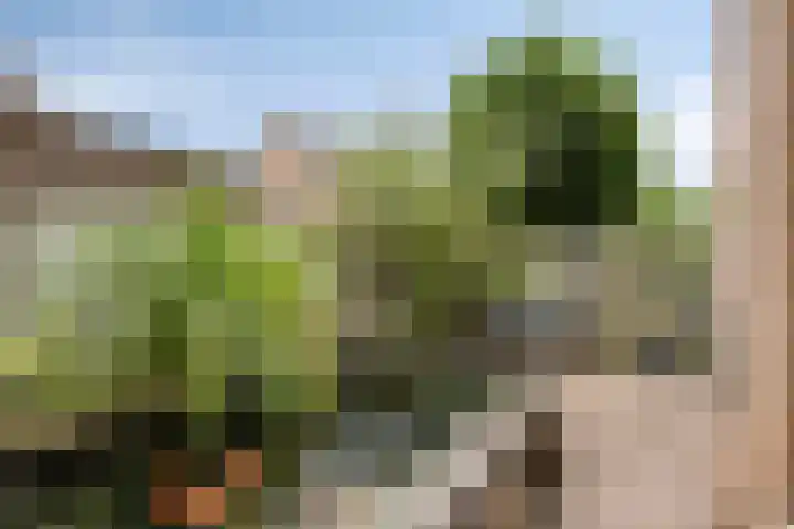 Leenmanslag 19 Gouda thumbnail 33