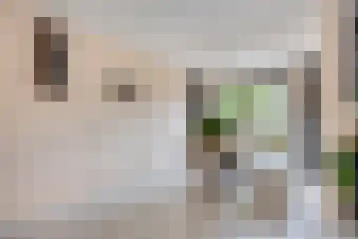 Leenmanslag 19 Gouda thumbnail 8