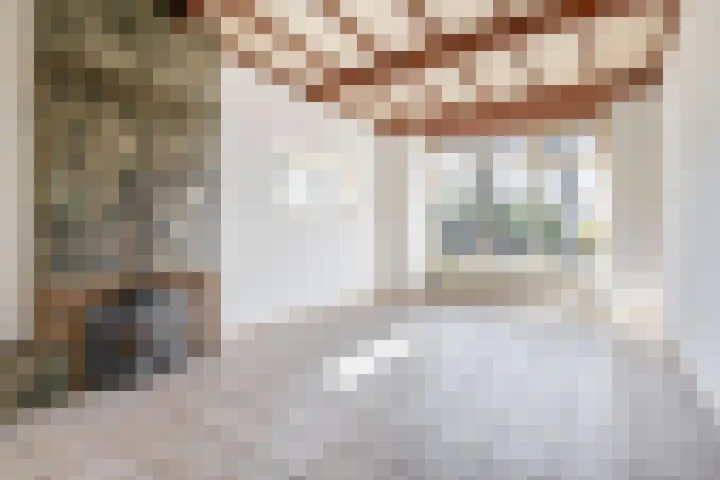 Leensel 16 Liessel thumbnail 11