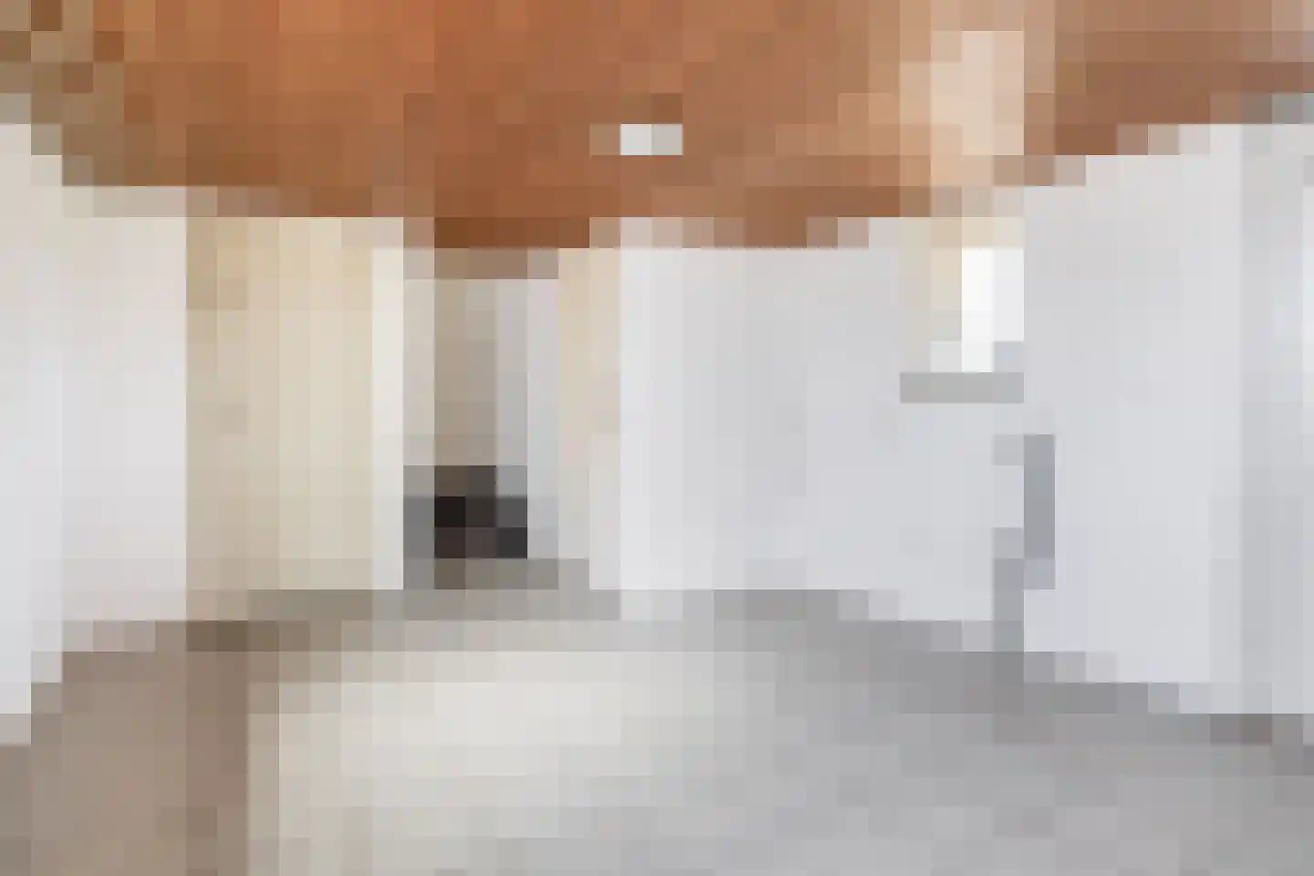 Leensel 16 Liessel thumbnail 22