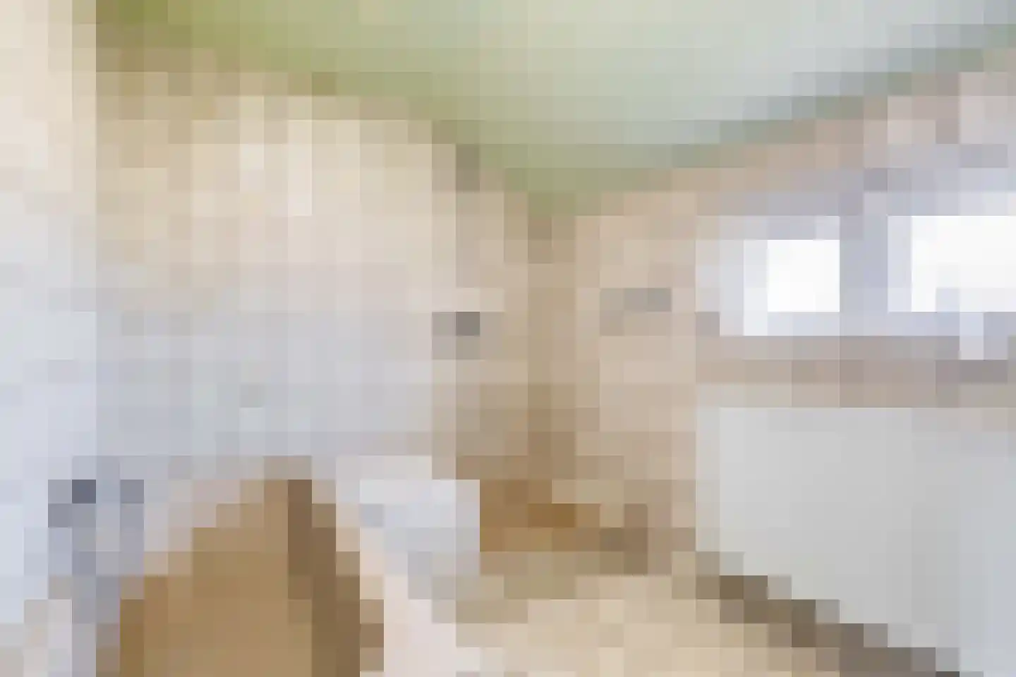 Leensel 16 Liessel thumbnail 28
