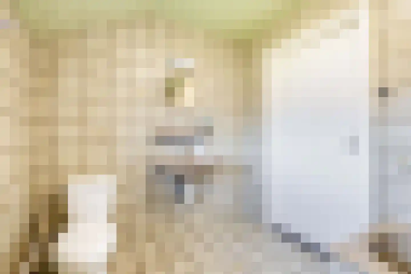 Leensel 16 Liessel thumbnail 29