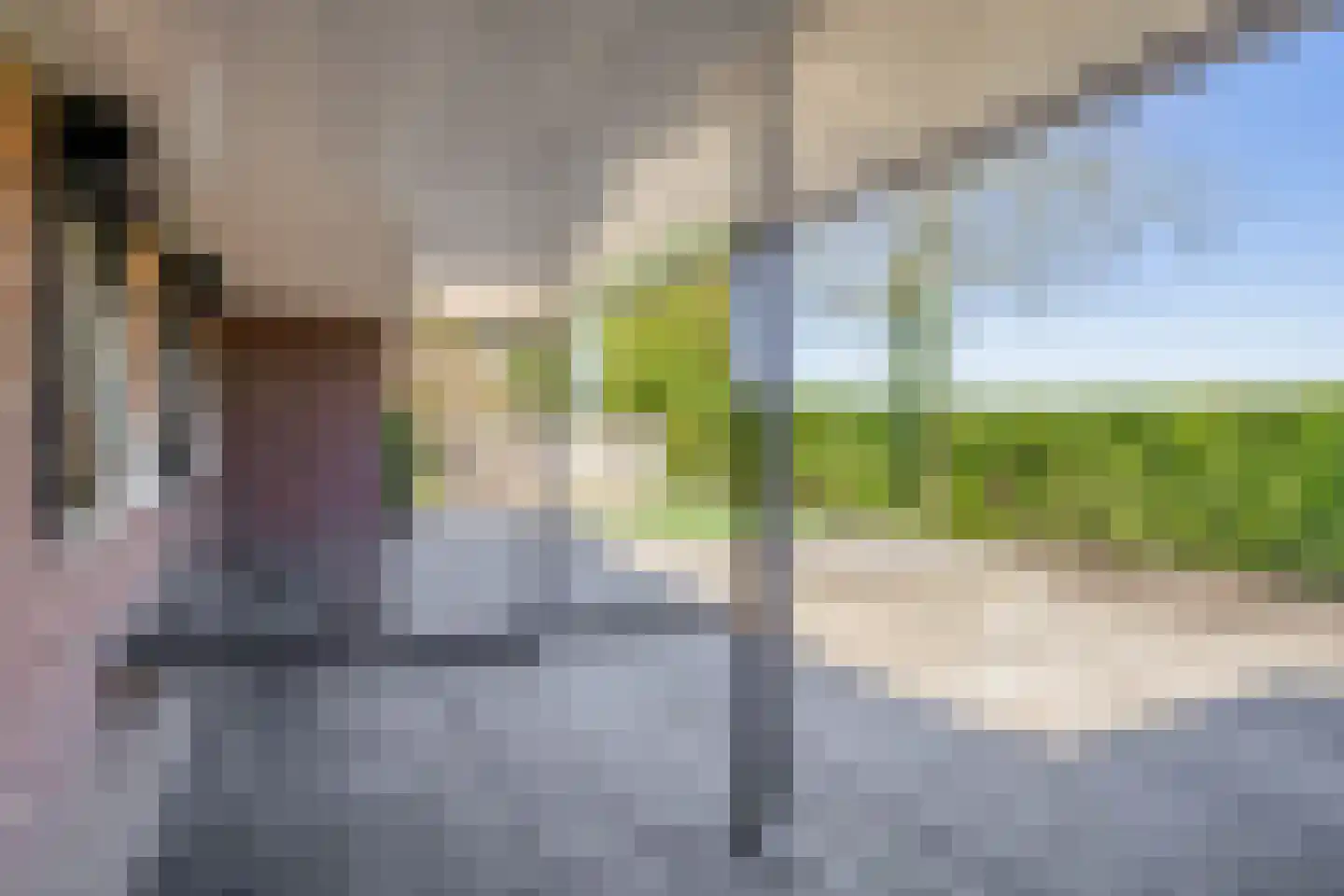 Leensel 16 Liessel thumbnail 41