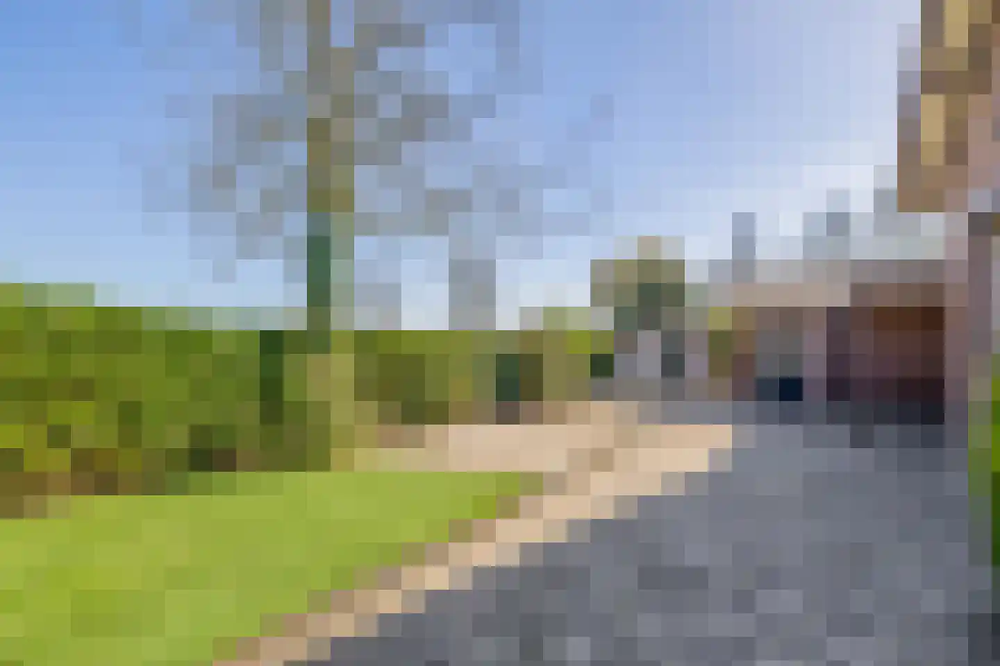 Leensel 16 Liessel thumbnail 44