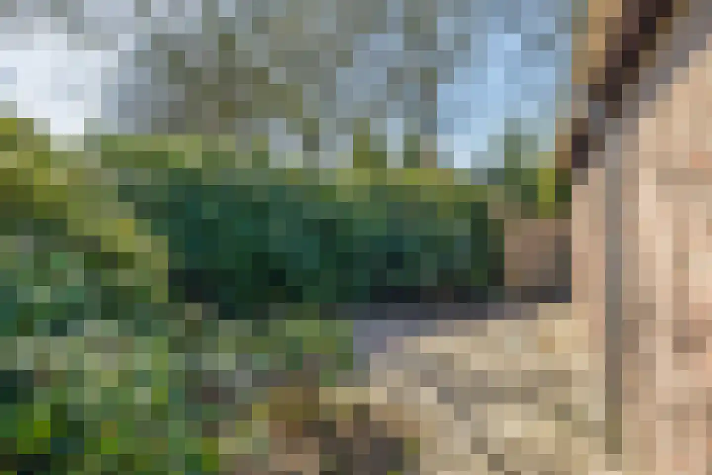 Leensel 16 Liessel thumbnail 47
