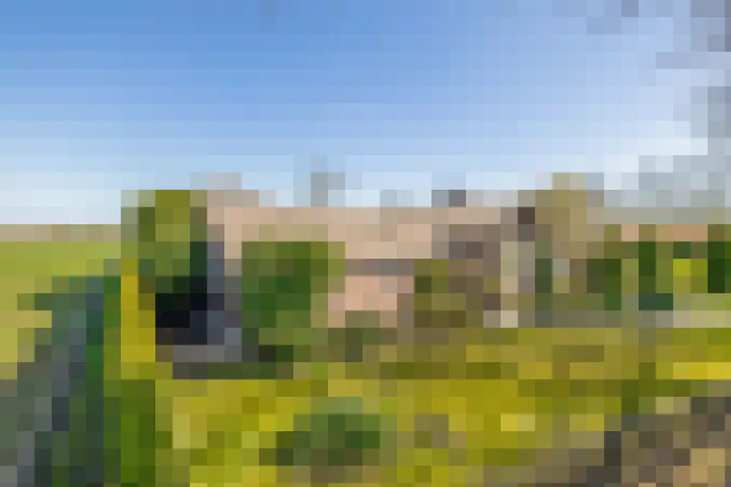 Leensel 16 Liessel thumbnail 7