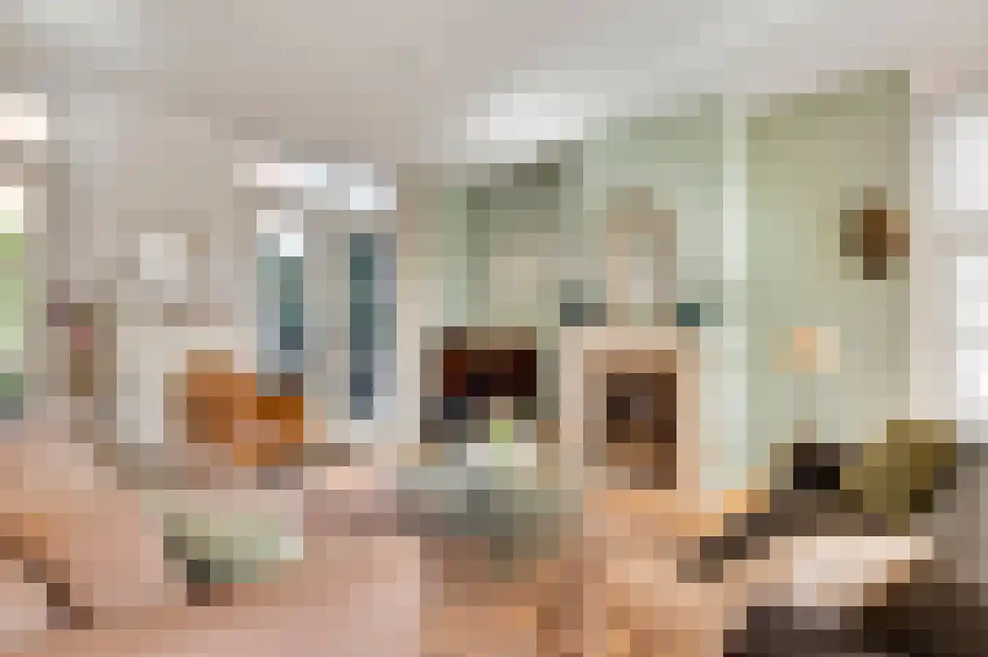 Leenselvoort 2 Helmond thumbnail 15