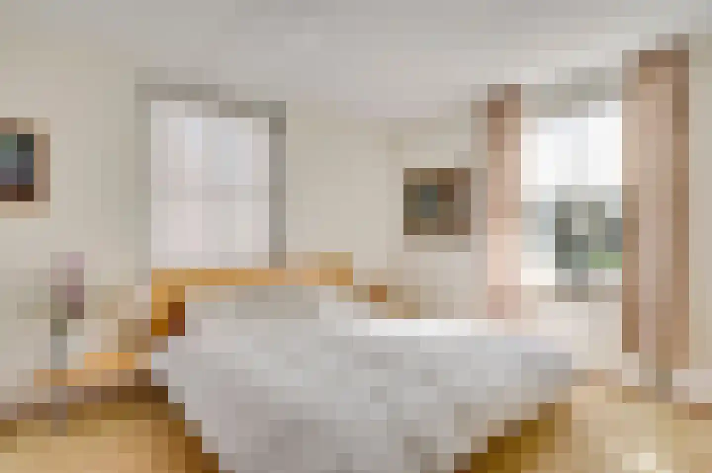 Leenselvoort 2 Helmond thumbnail 30