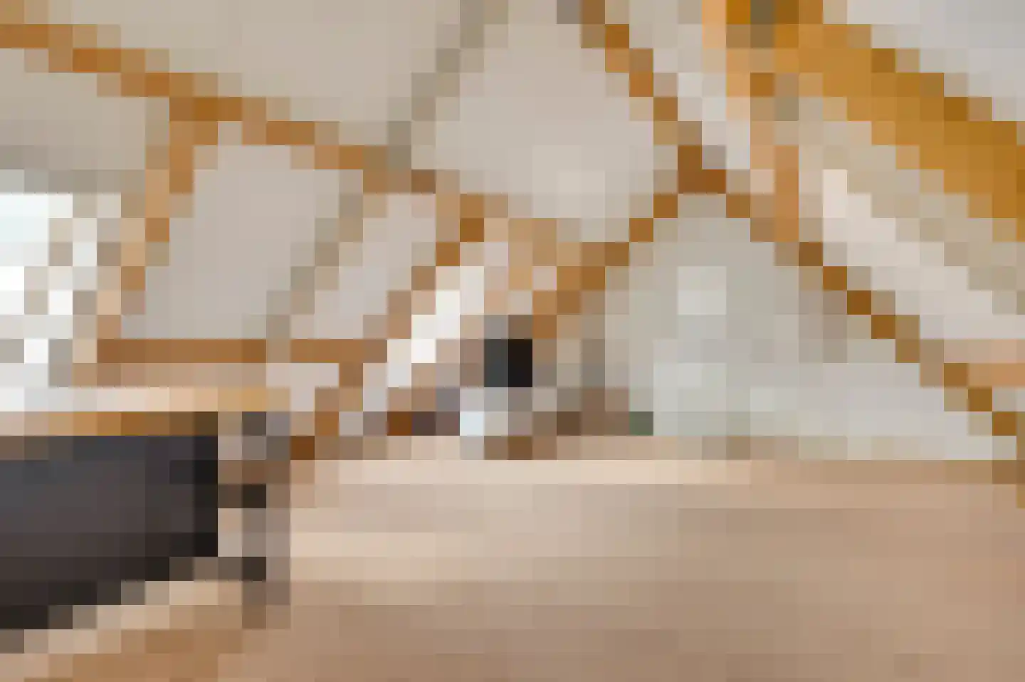 Leenselvoort 2 Helmond thumbnail 37
