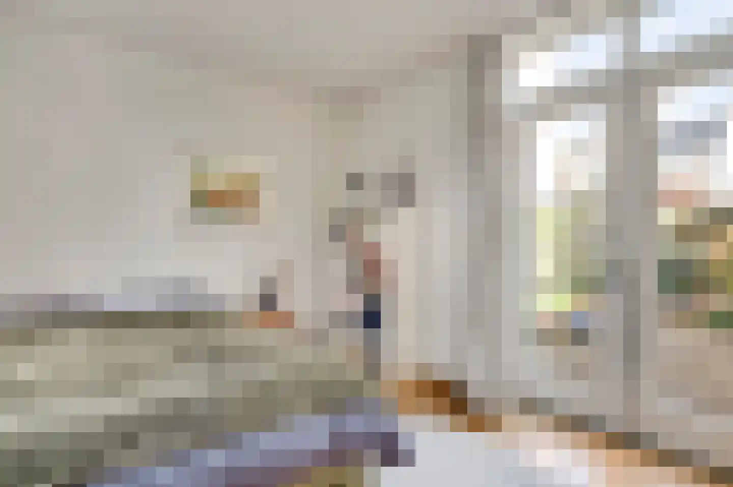 Leenselvoort 2 Helmond thumbnail 4