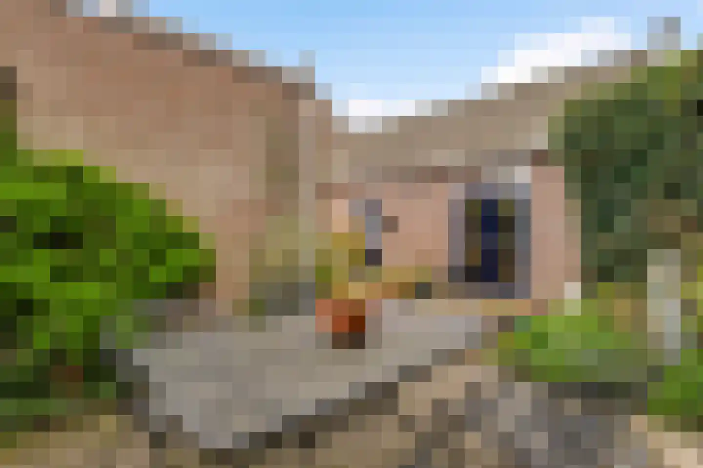 Leenselvoort 2 Helmond thumbnail 44