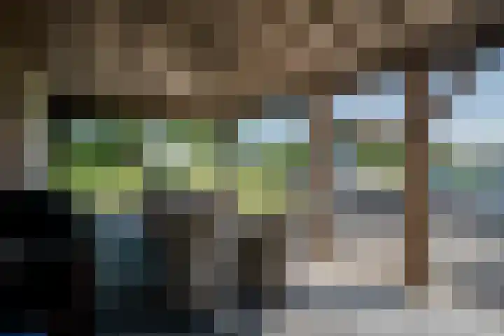 Leenselweg 9 Liessel thumbnail 19