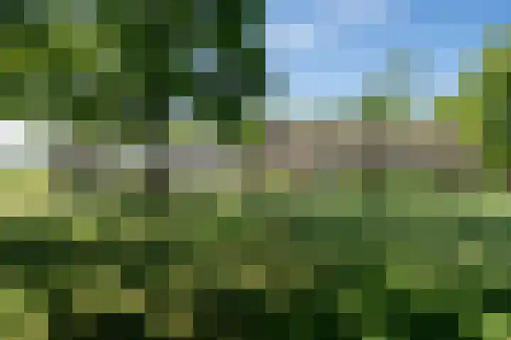 Leenselweg 9 Liessel thumbnail 7
