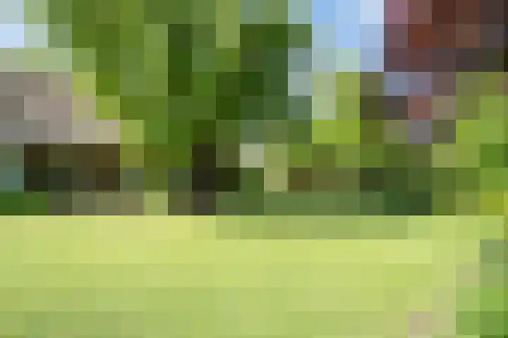 Leenselweg 9 Liessel thumbnail 8