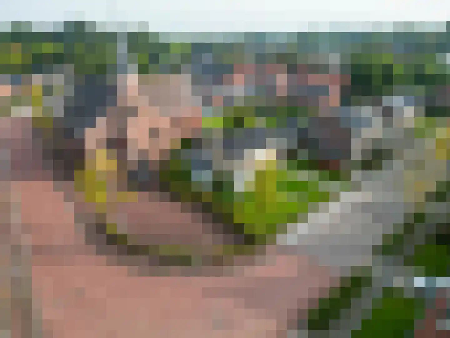 Leensterweg 3 Ulrum thumbnail 42
