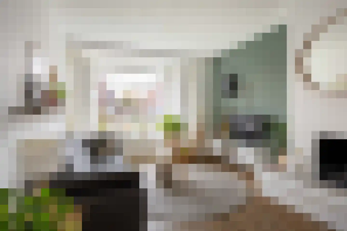 Leensterweg 3 Ulrum thumbnail 7