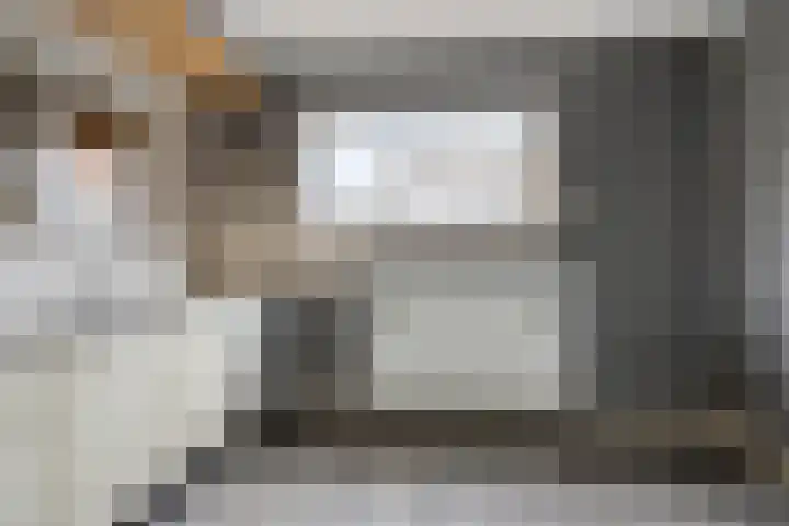 Leensterweg 4 Kloosterburen thumbnail 14