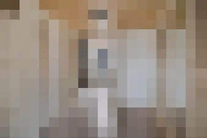 Leensterweg 4 Kloosterburen thumbnail 21