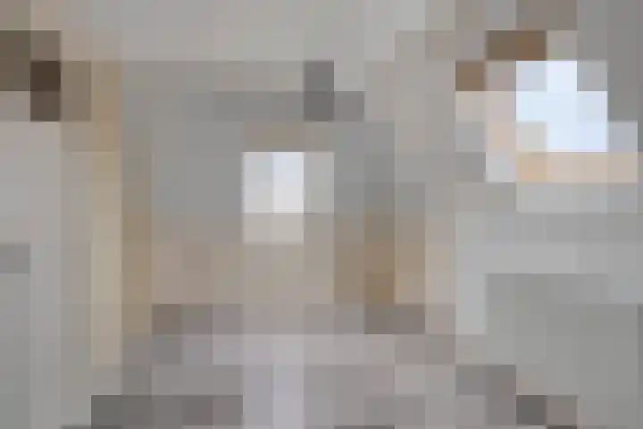 Leensterweg 4 Kloosterburen thumbnail 23