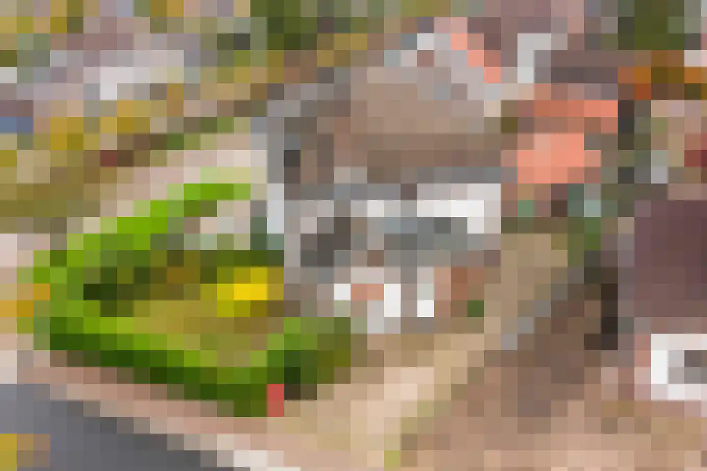 Leenstraat 14 Landgraaf thumbnail 4