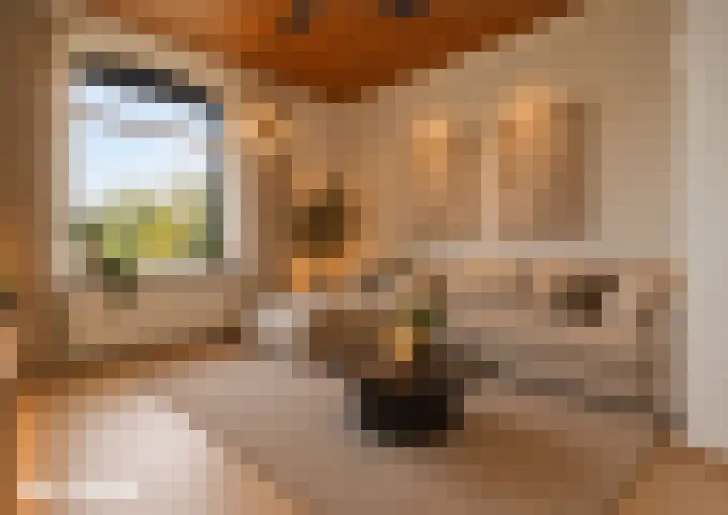 Leenstraat 14 Landgraaf thumbnail 7