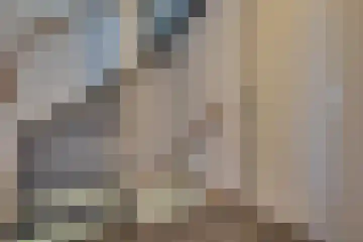 Leenweer 13 Sliedrecht thumbnail 15
